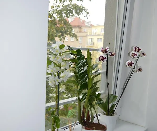 Aréna Szálloda
