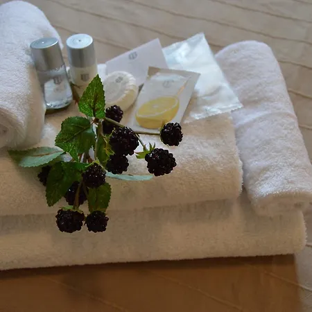 Arena Hotell 3*
