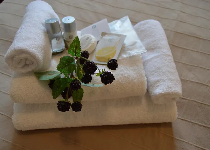 Arena Hotell 3*